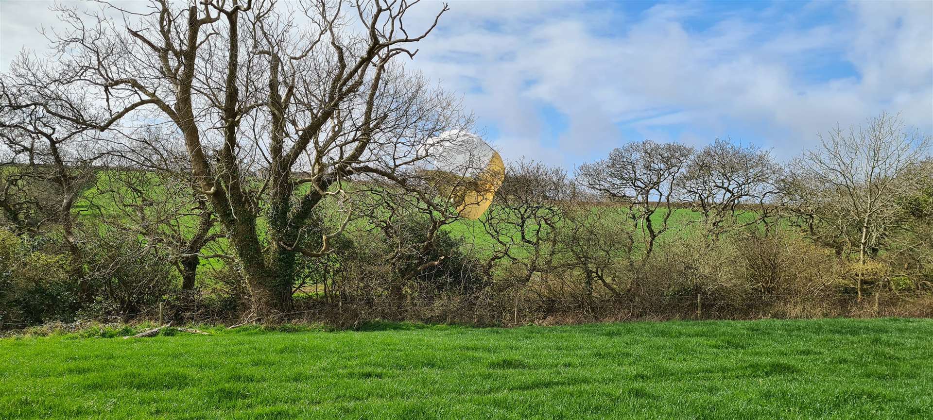 A parachute in a tree of one of the pilots of a Royal Navy Hawk jet which crashed in woodland in Cornwall (Cornwall Air Ambulance/PA)