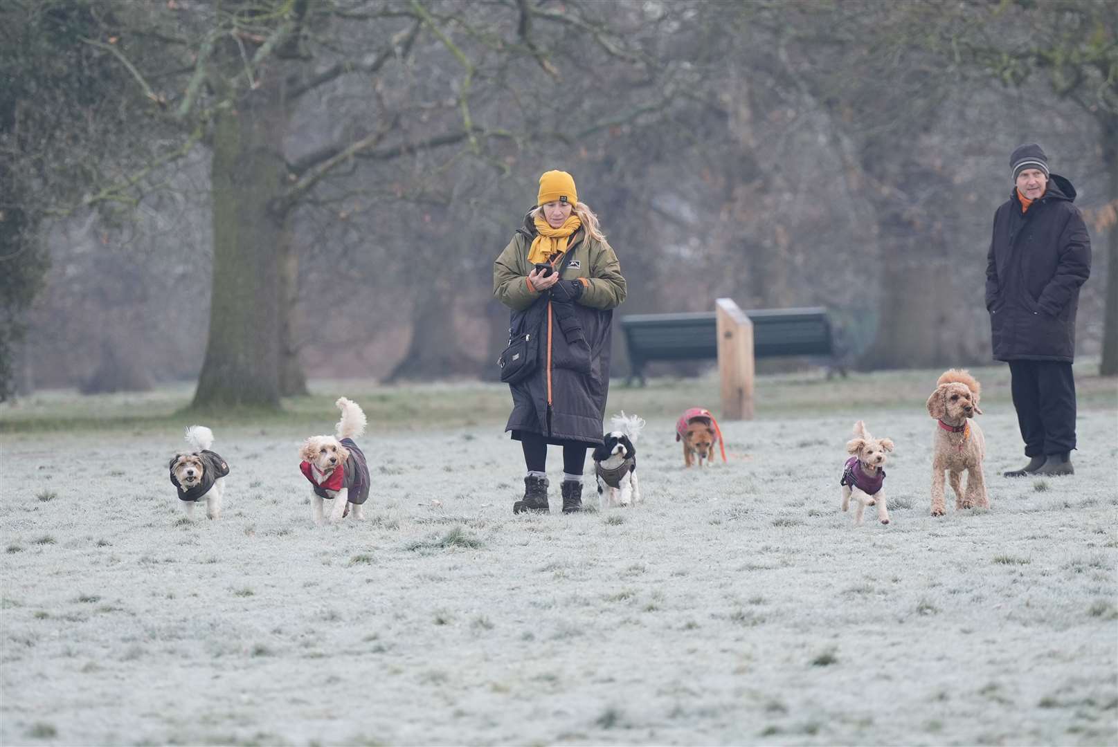 Dogs were out in force on Friday as owners took the opportunity for some exercise (Yui Mok/PA)