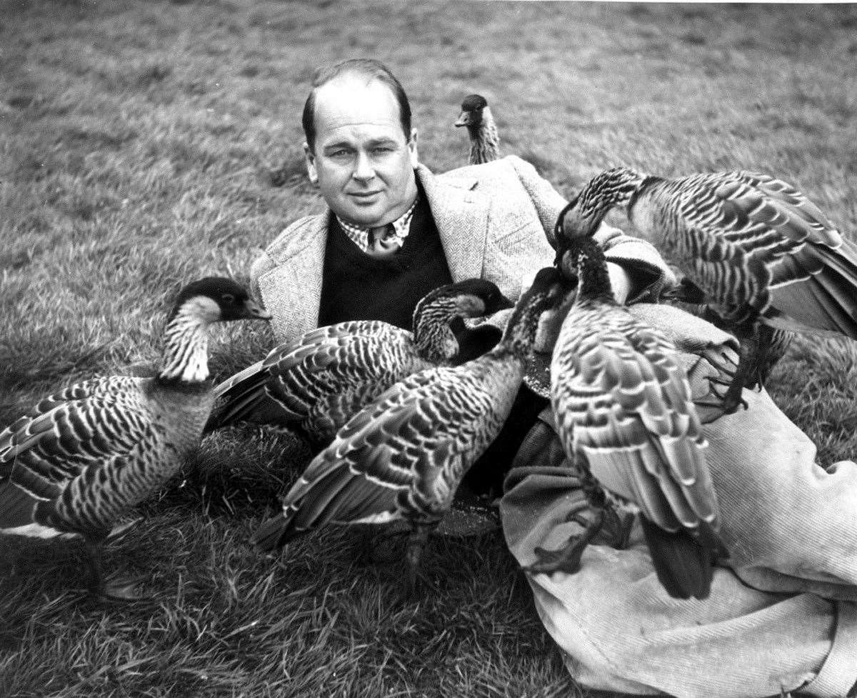 Sir Peter Scott’s work to protect the Hawaiian Goose has seen their numbers grow to 2,500 (WWT/PA)