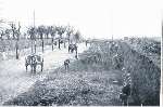 The work of widening Loose Road, Maidstone, in progress in 1922