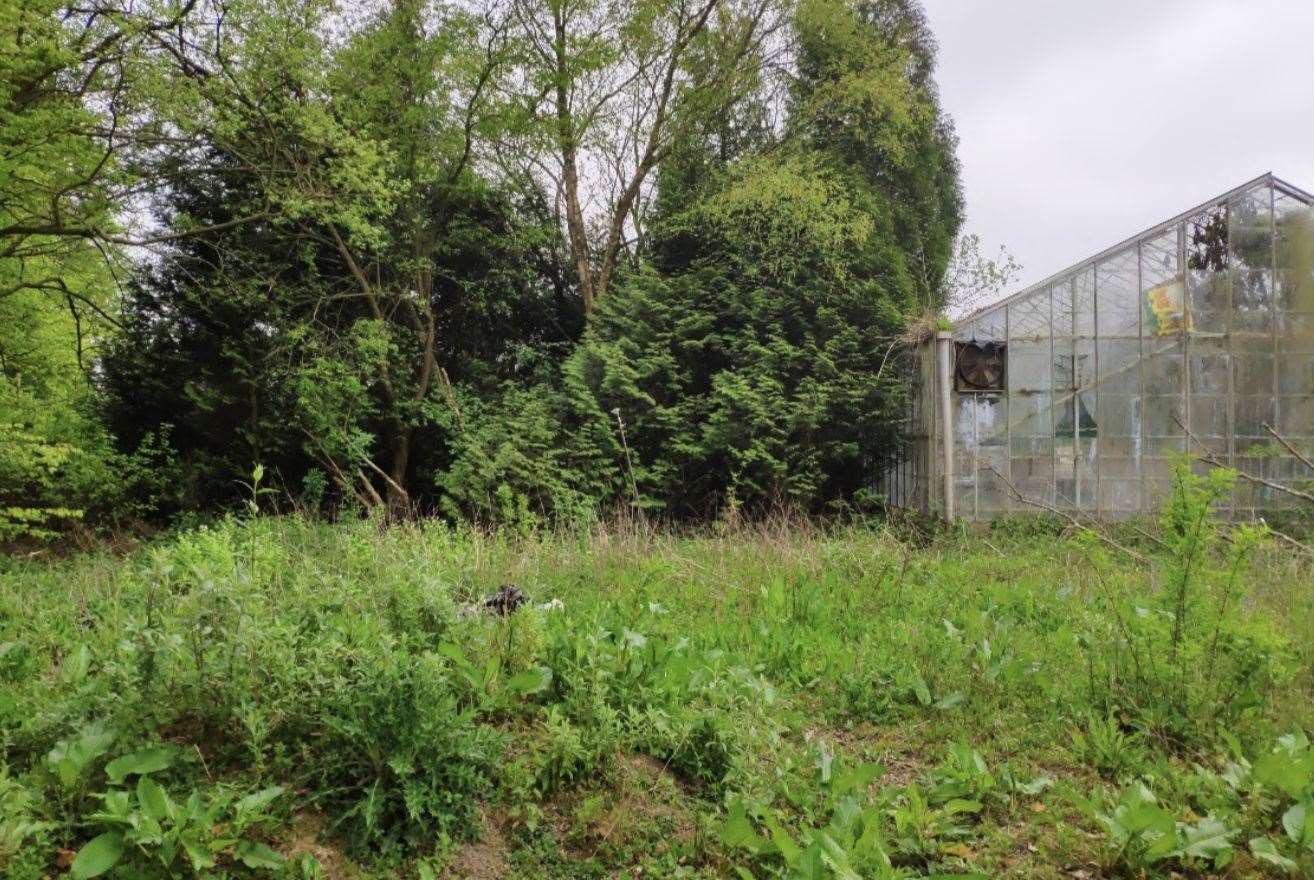 Old greenhouses and overgrowth at the Grovewell Folkestone Garden Centre will be cleared away to make space for the new facilities. Picture: Grovewell