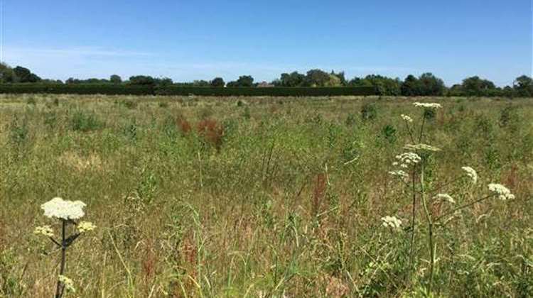 Many villagers do not want to see a new housing estate built on the land