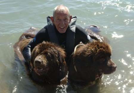 Clive Haylock with Amber and Shea the newfoundlands at last year's Dover Regatta. Dogs will be back this year.