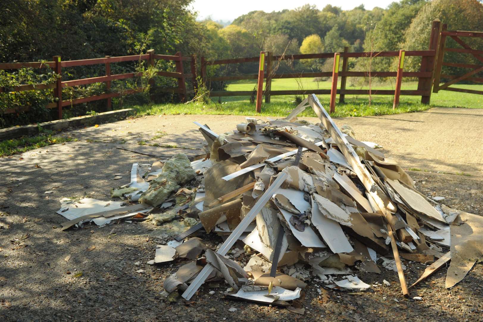 This trash was dumped just a few weeks ago at Chattenden Green, picture Steve Crispe