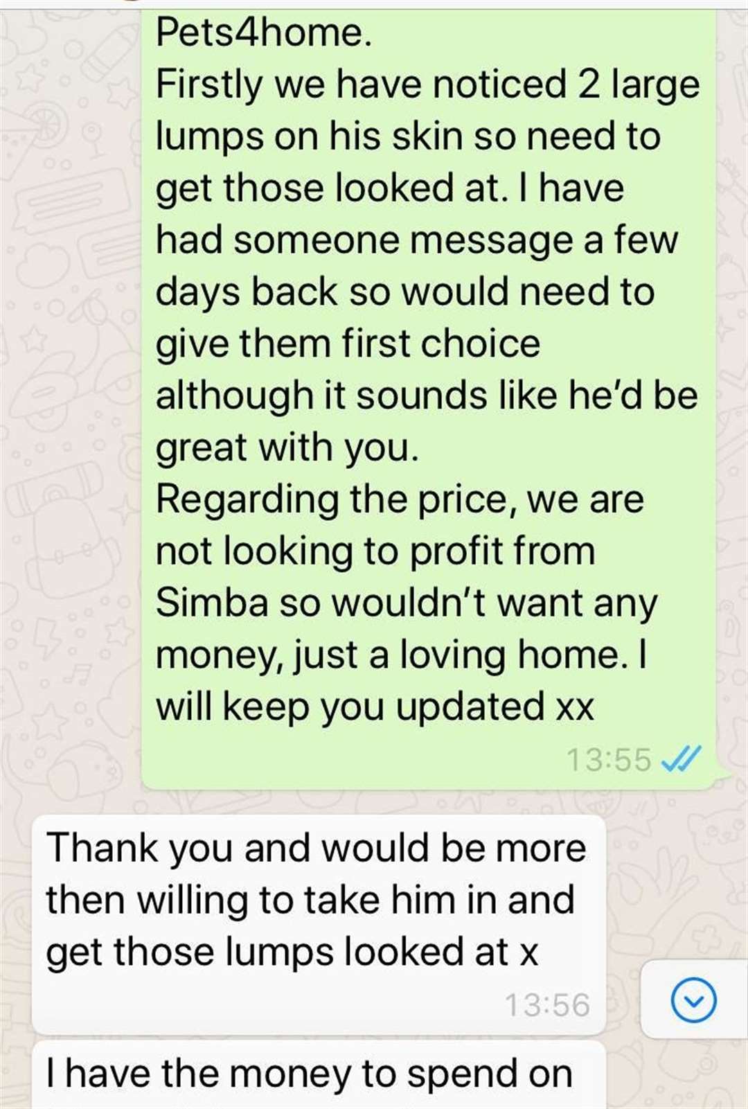 Text messages between the owner of Simba (green) and the teen who adopted him