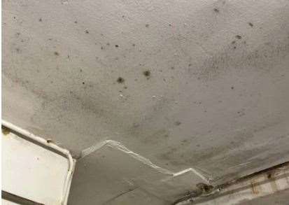 The ceiling - along with many other areas, was found to be mouldy