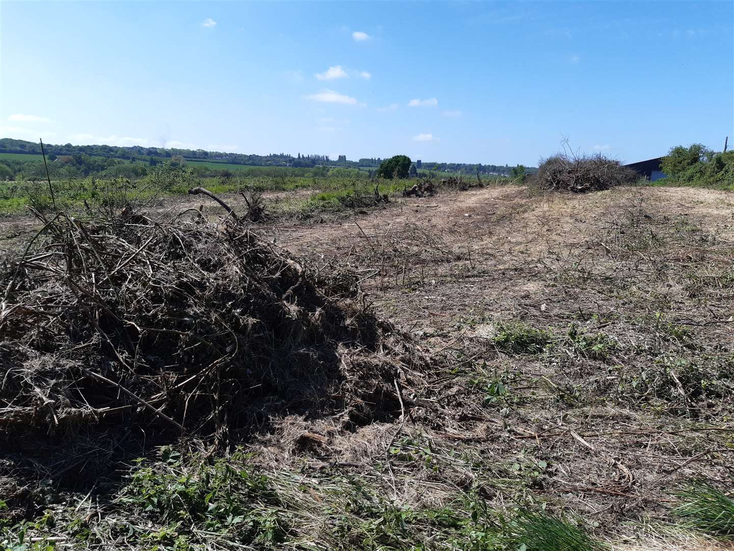 The cleared site