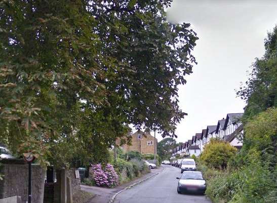 A general shot of Well Street in Maidstone, where the puppies were seized. Picture: Google.