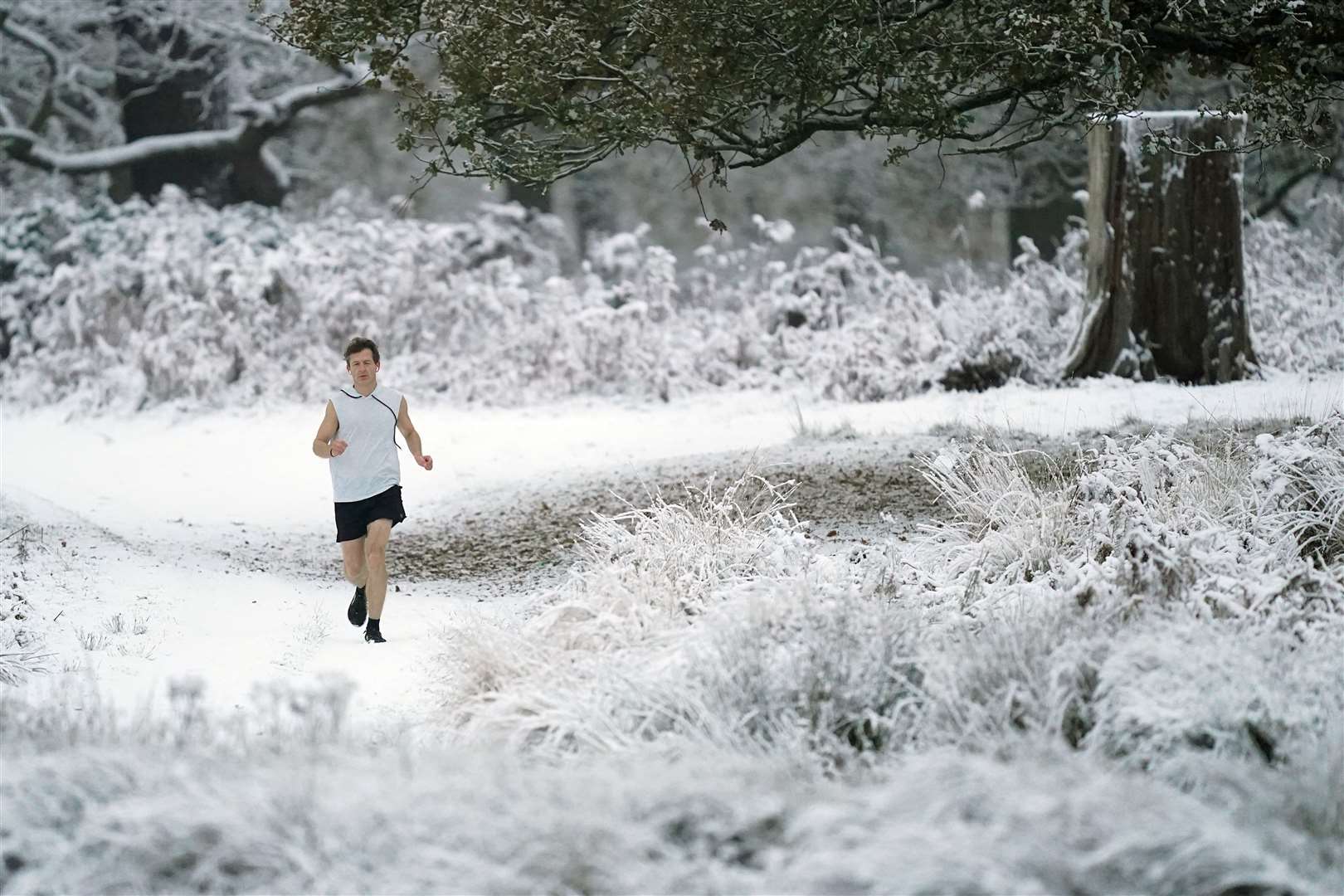 A person jogs through the snow in Richmond Park in south-west London (James Manning/PA)