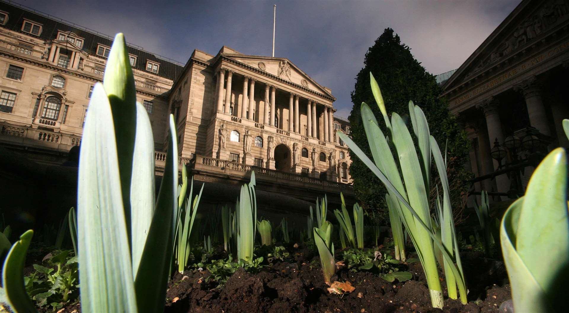 Green shoots were a metaphor used by Stephen Powis (Lewis Whyld/PA)