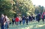 Walkers enjoying Bedgebury Pinetum