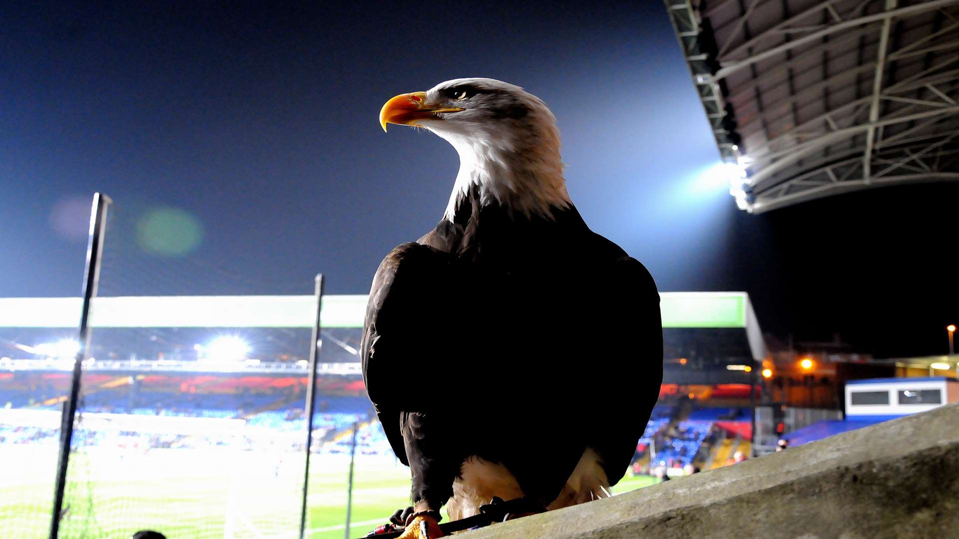 Kayla at Selhurst Park, home of Crystal Palace Football Club