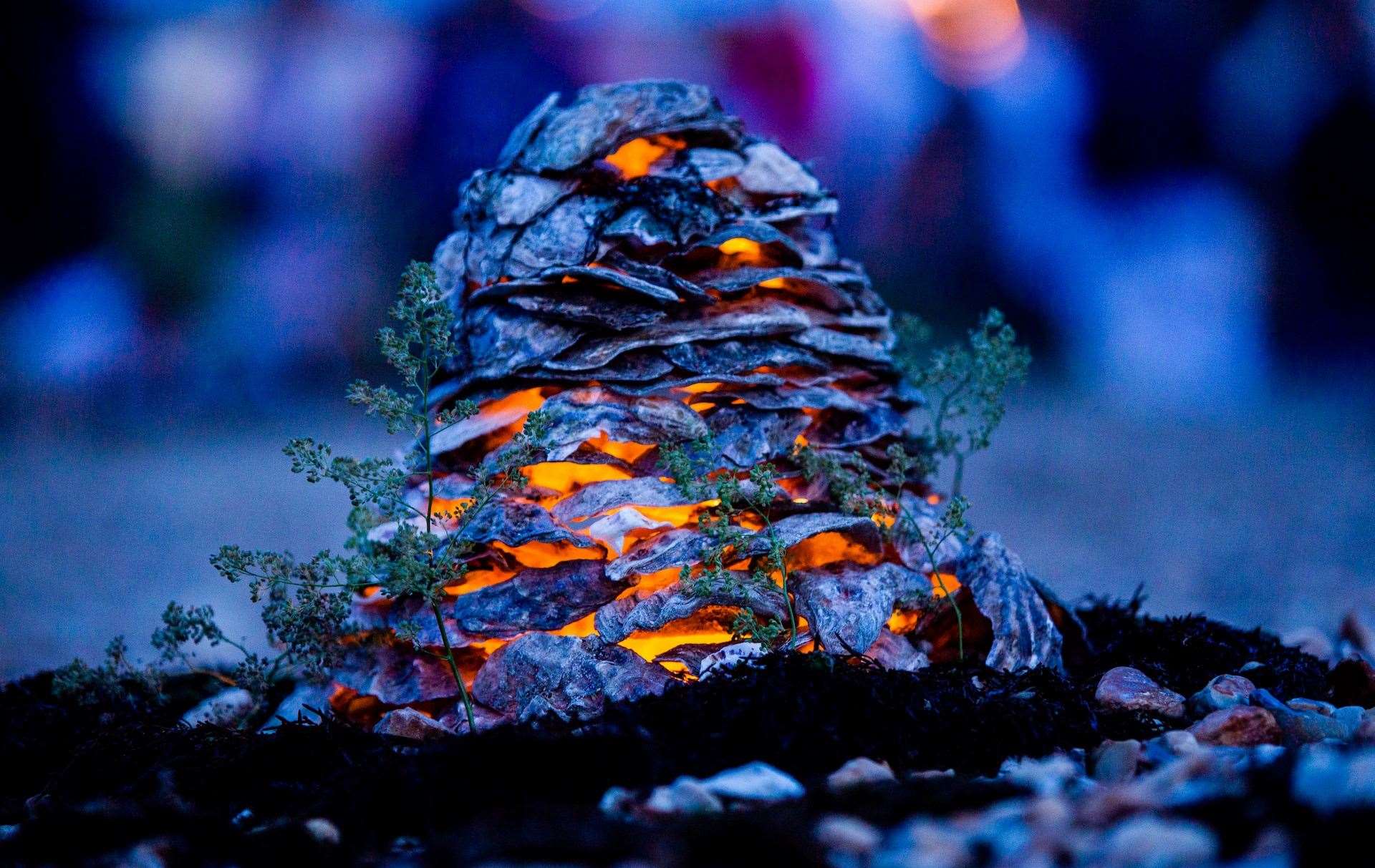 Dates confirmed for 2023 Whitstable Rocks Oyster Festival