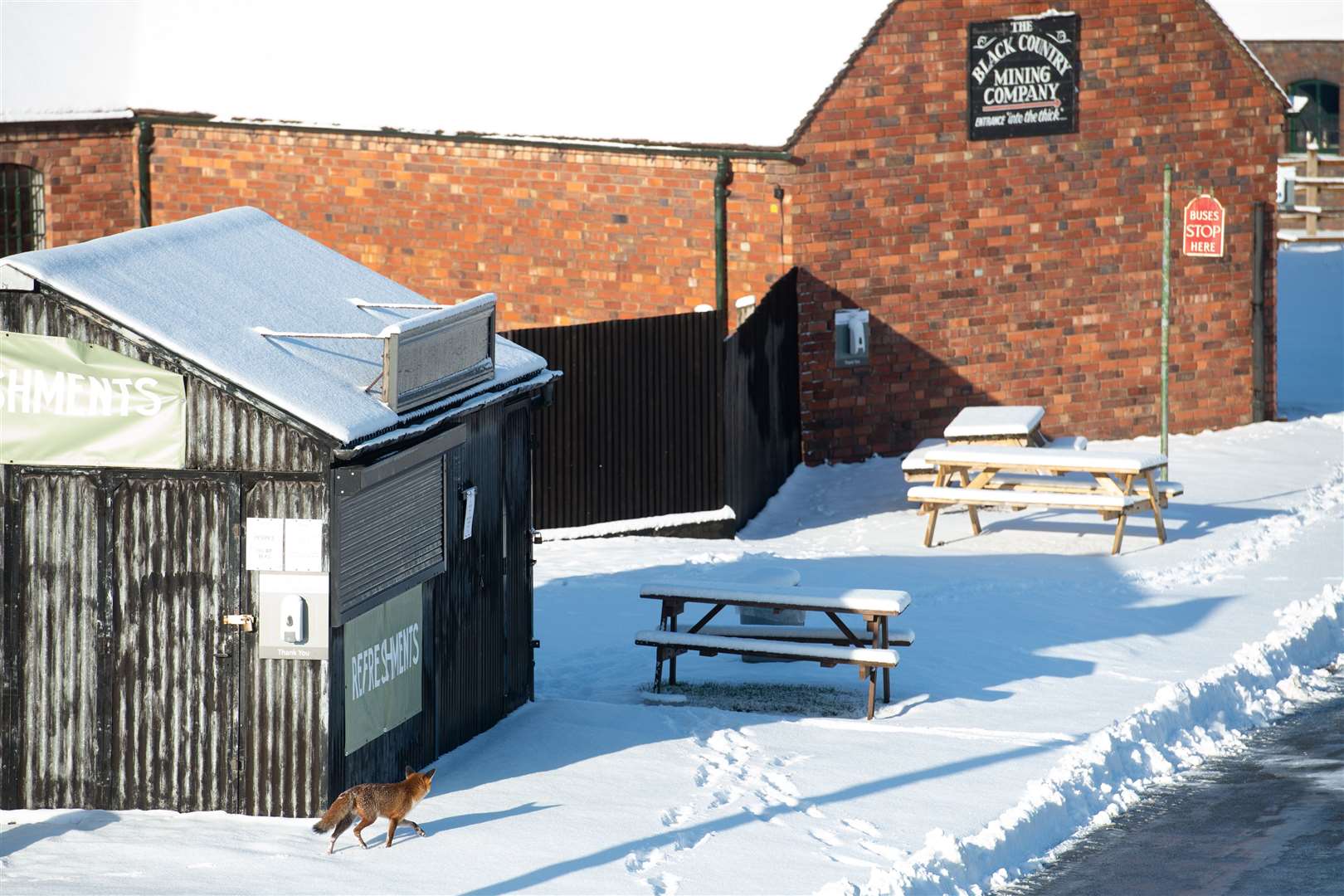 A fox walks around the Black Country Living Museum in Dudley, which has previously been used as a set for the BBC drama Peaky Blinders, and is now being used as a Covid vaccination centre (Jacob King/PA)