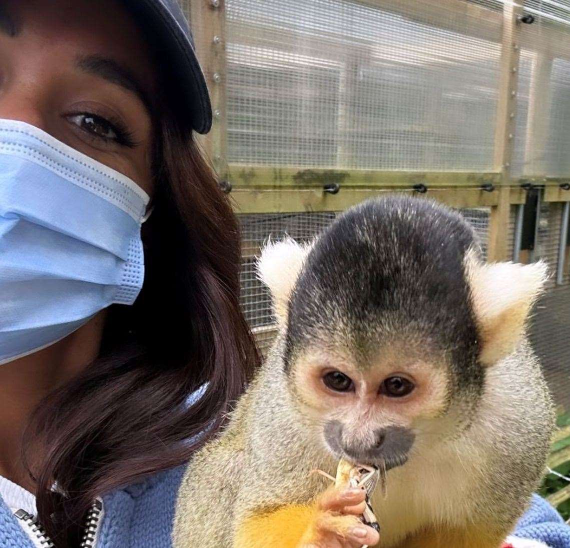 Alex Scott visited Port Lympne near Hythe. Picture: Alex Scott on Instagram