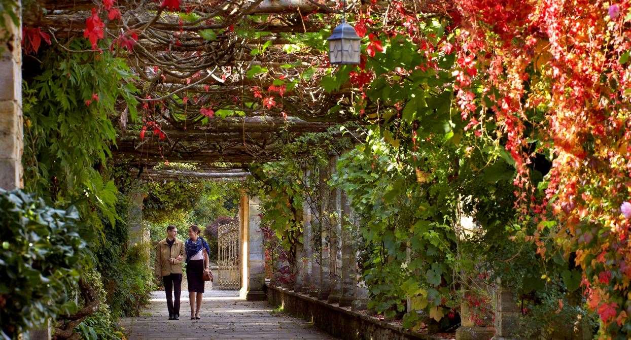 Visitors can enjoy guided tours of the award-winning gardens this autumn. Picture: Hever Castle and Gardens