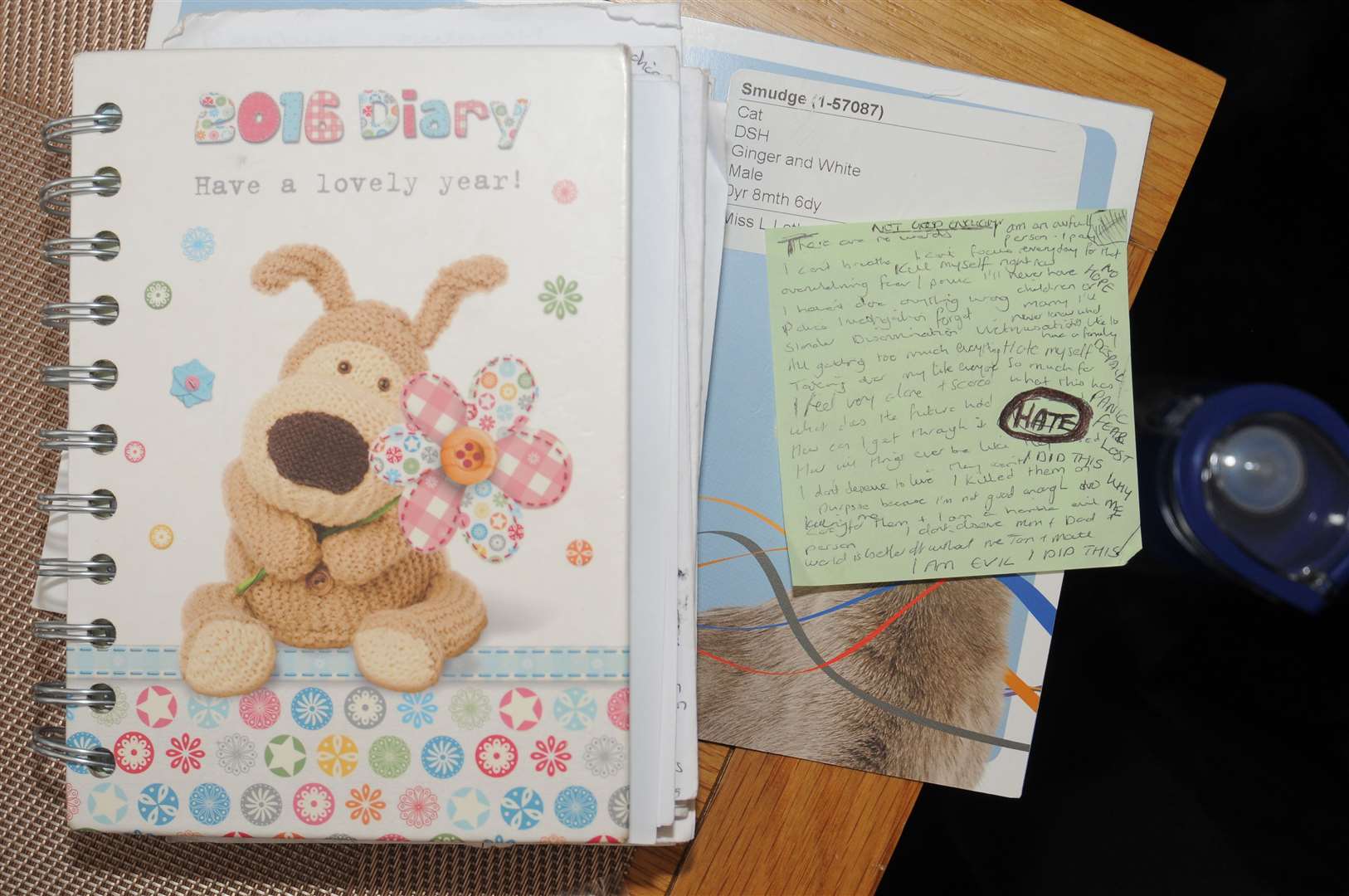 A diary and notes were recovered from Lucy Letby’s home (Cheshire Constabulary/CPS/PA)