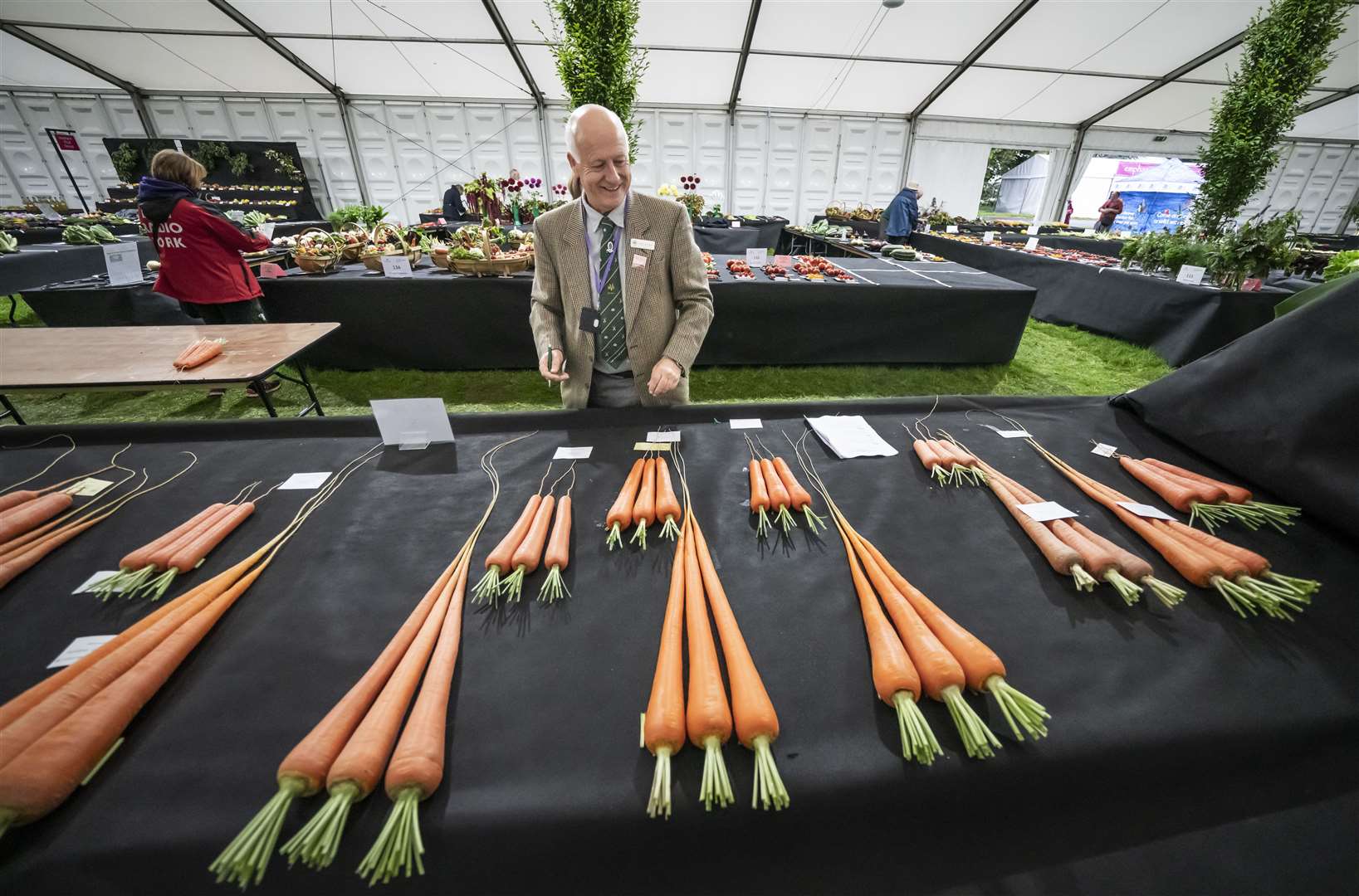 A judge inspects carrots during the giant vegetable competition (Danny Lawson/PA)