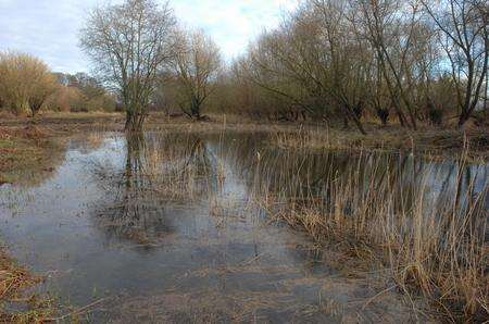 John Harvey disappeared at Stodmarsh nature reserve, near Canterbury