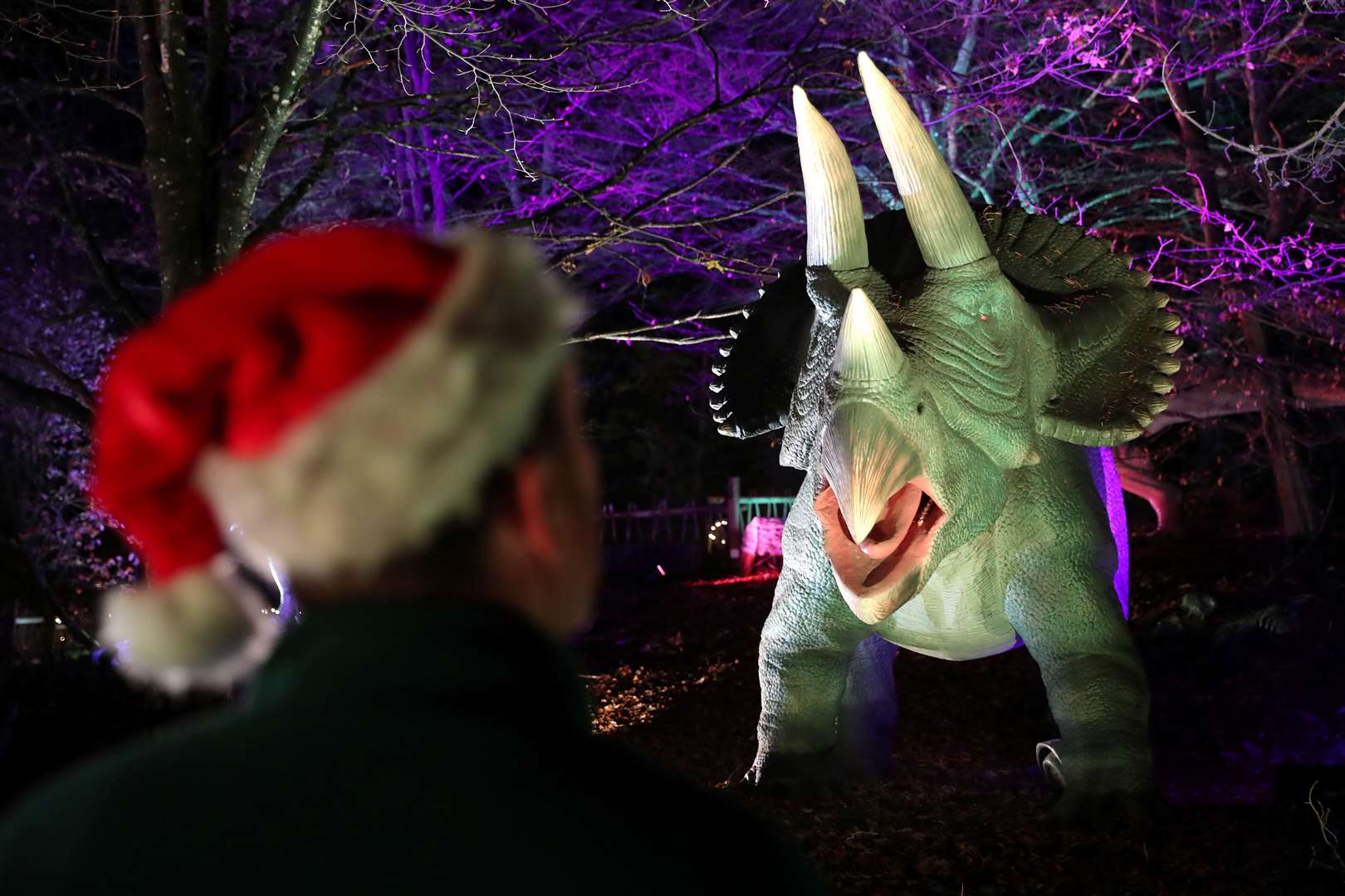 The illuminations are part of the park’s World of Dinosaurs exhibit (Andrew Milligan/PA)