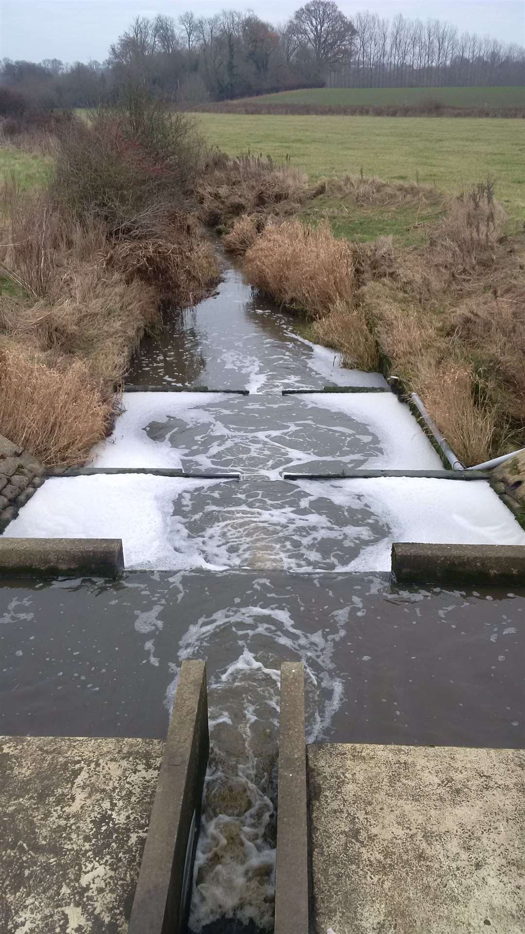 The stream was visibly brown and smelt strongly, the Environment Agency said (Environment Agency/PA)