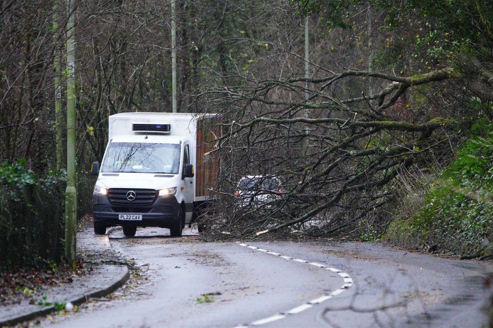 A fallen tree blocking a road in Pontypridd, Wales (Ben Birchall/PA)