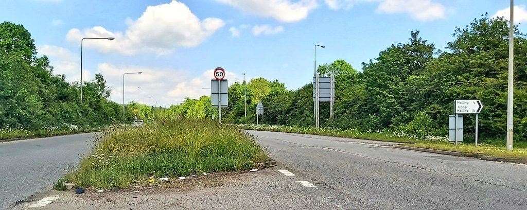 An uncut verge on the A228 Halling. Picture: @whitcombetweets