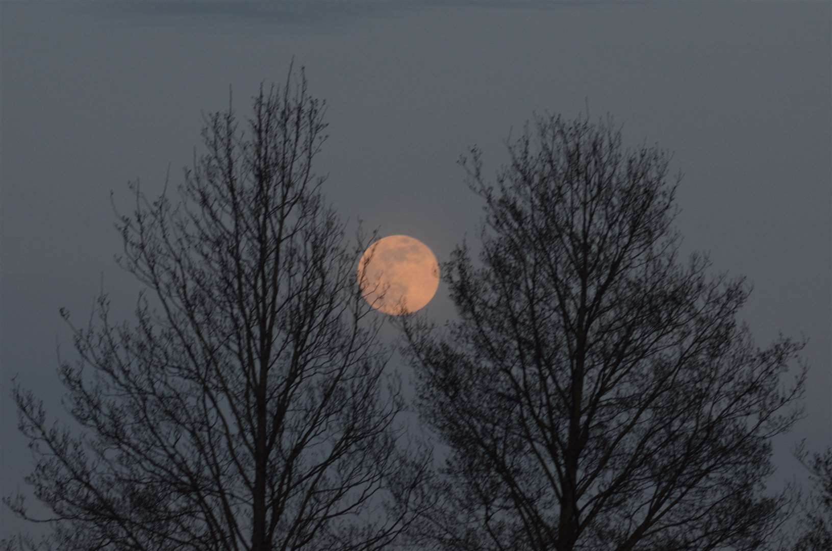 The pink supermoon lit up the Kent sky last night. Picture: Jason Arthur