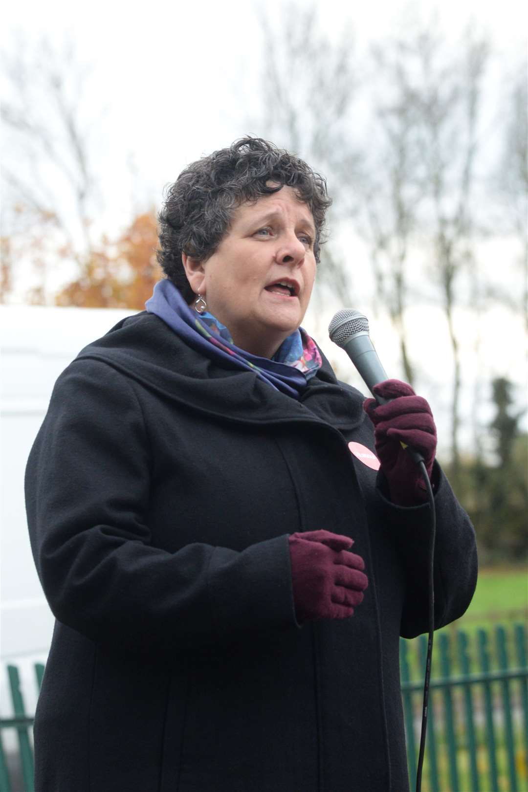 Cllr Teresa Murray slammed the plans put forward by Quinn Estates