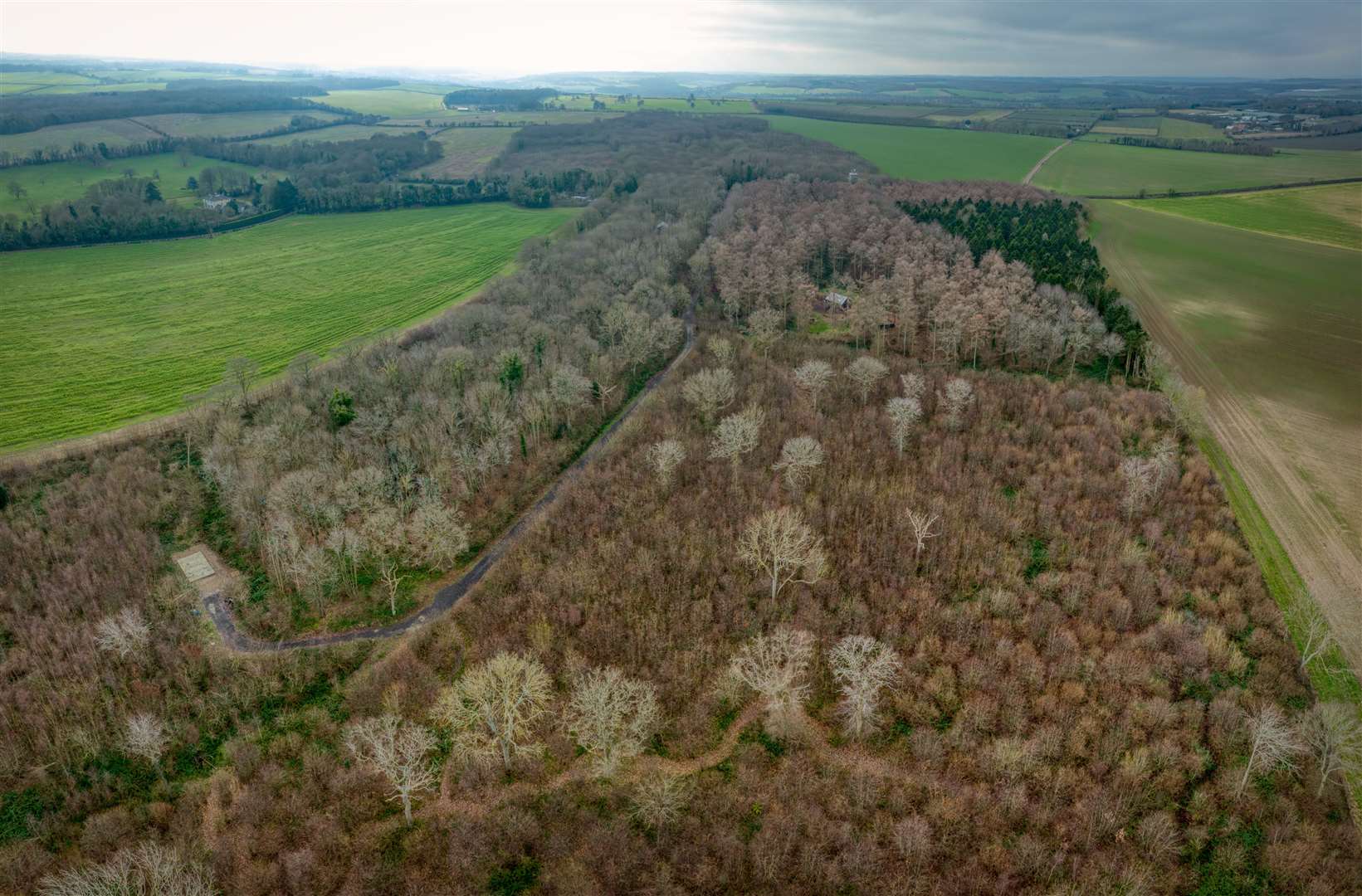 Woodland at Adisham where buildings have been erected