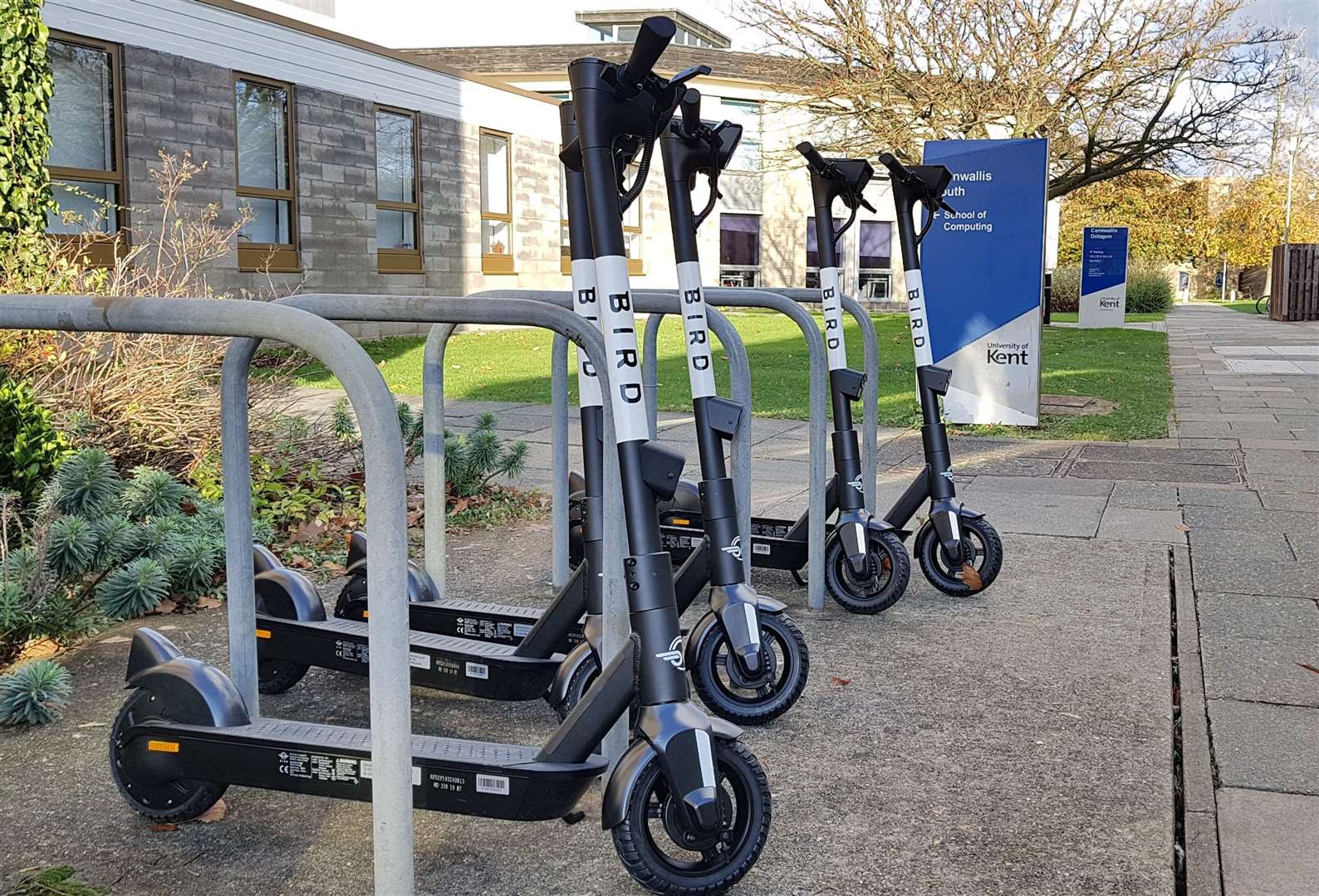 Bird e-scooters were recently rolled out at the University of Kent. Mrs Lilford was hit by a privately-owned scooter