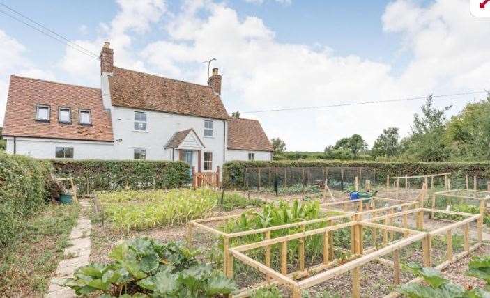 The vegetable garden