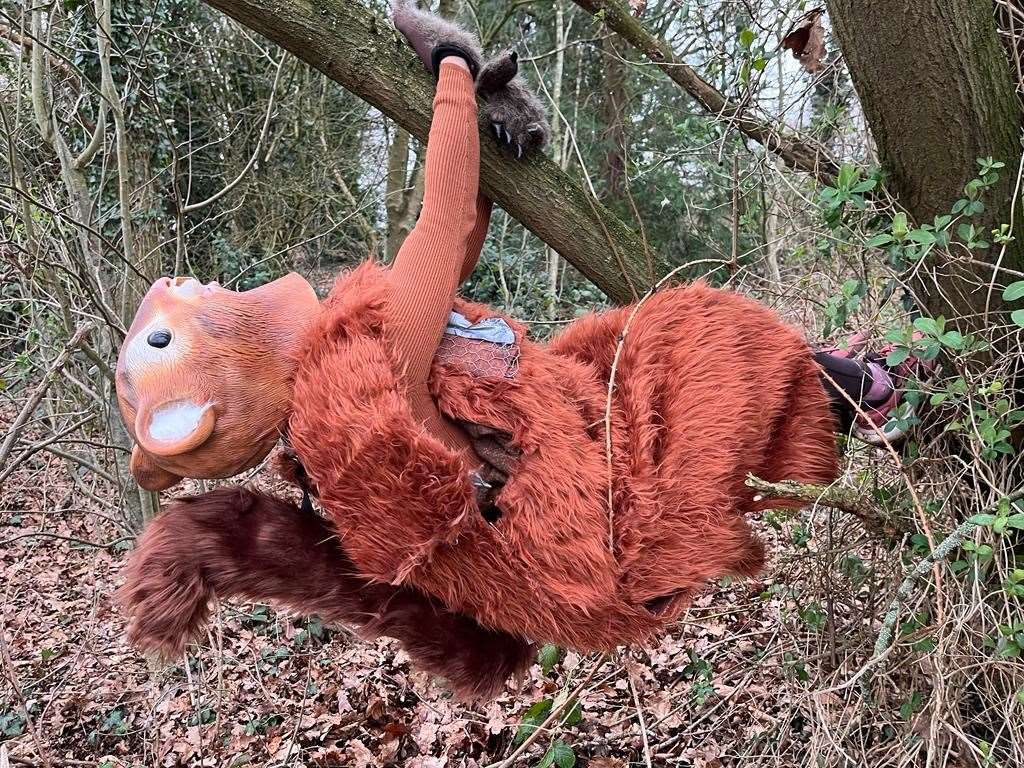 Emma Stevenson is trying to break the GWR for the fastest marathon dressed as a mammal (female) (Guinness World Records/PA)