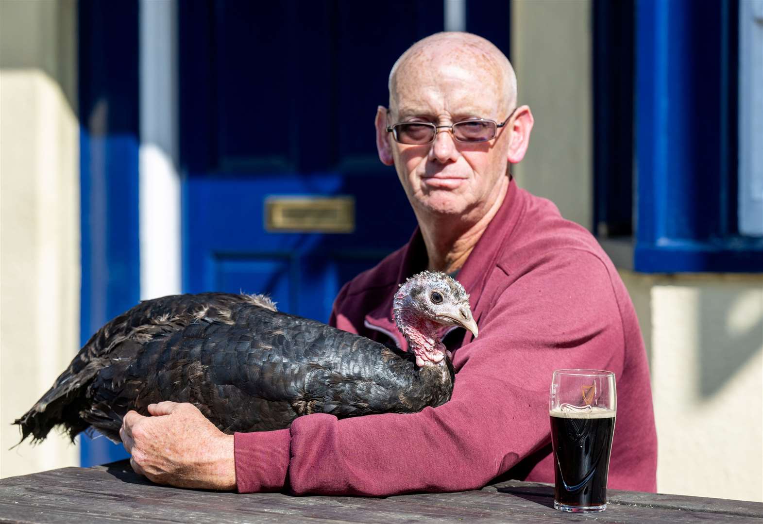 Dave Brooker in the pub and with his pet turkey T2 in Maidstone. Picture: SWNS