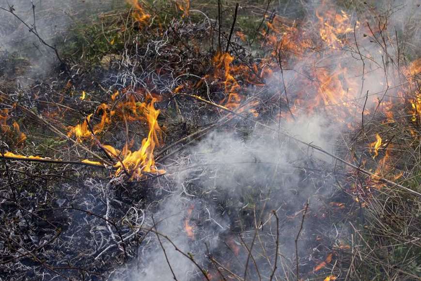 Burning grass stock picture