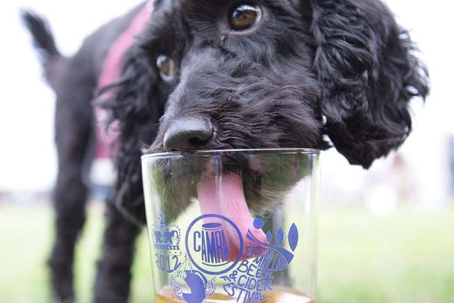 East Malling Beer and Cider Festival