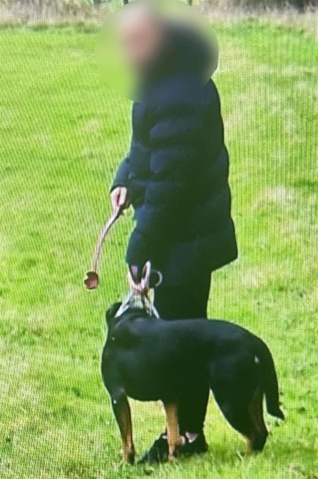 The family took this picture of the man they believed to be the owner of the dog which attacked their pet Jack Russell