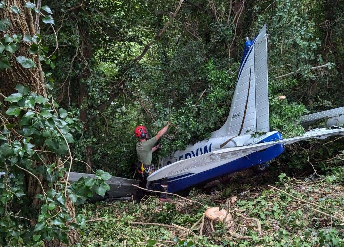 A specialist aircraft recovery unit removed the plane from the bushes