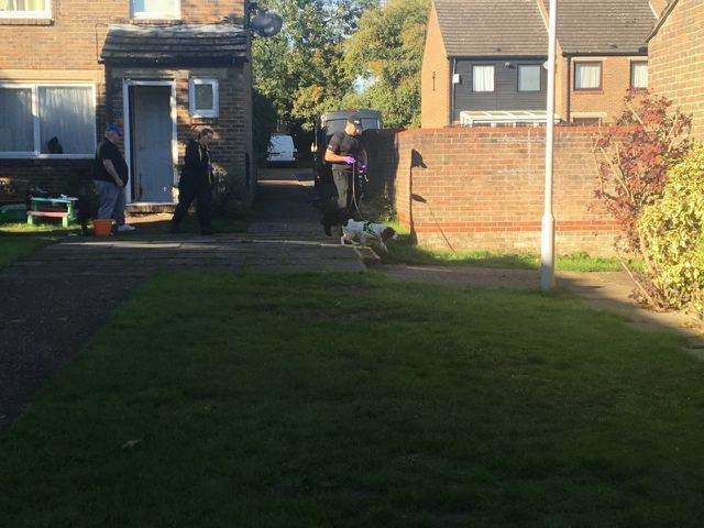 A police dog and its handler leaving Sarah Weelgreen's home in New Ash Green (5174621)