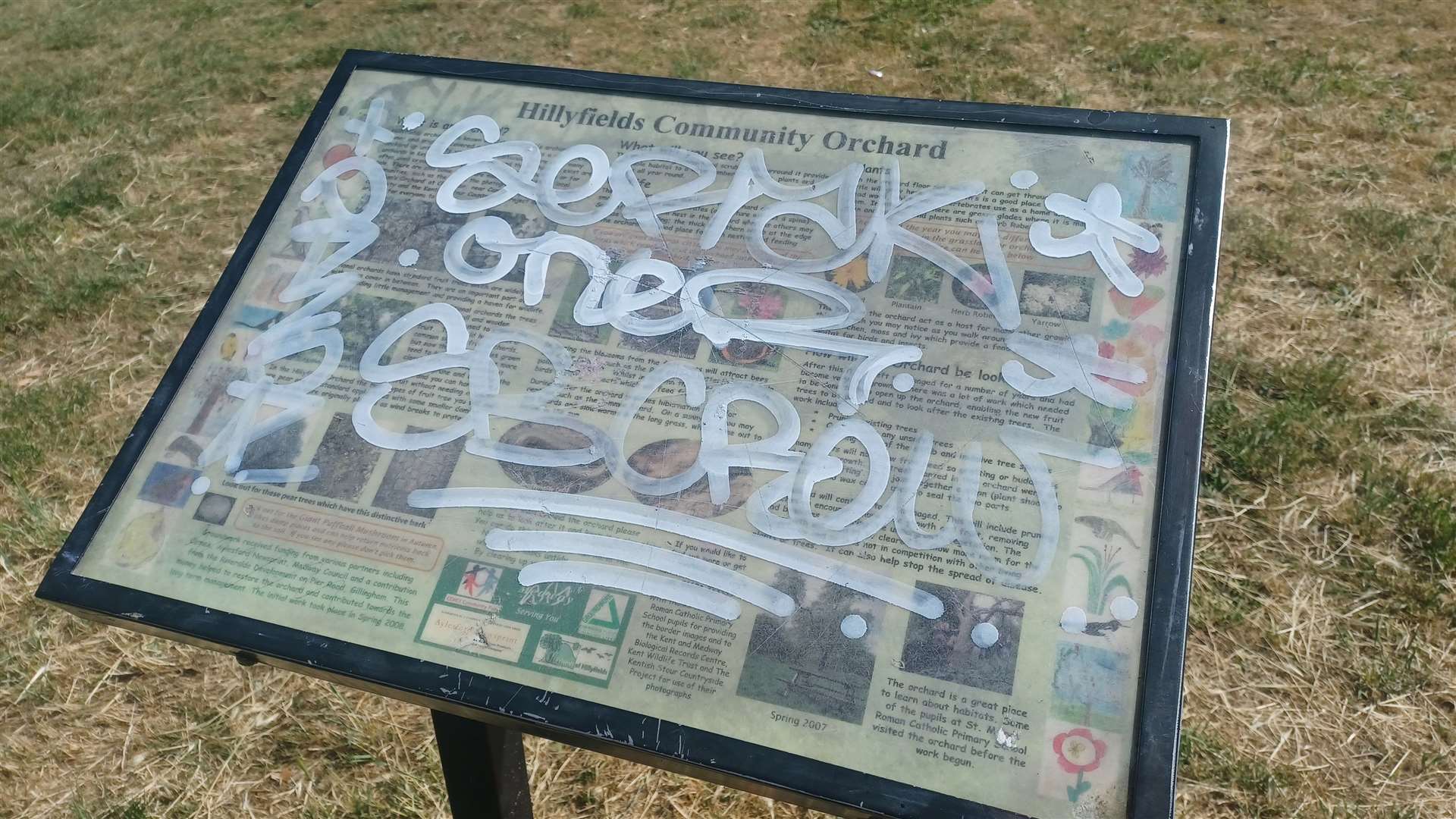 Some of the graffiti at Hillyfields Community Park in Gillingham