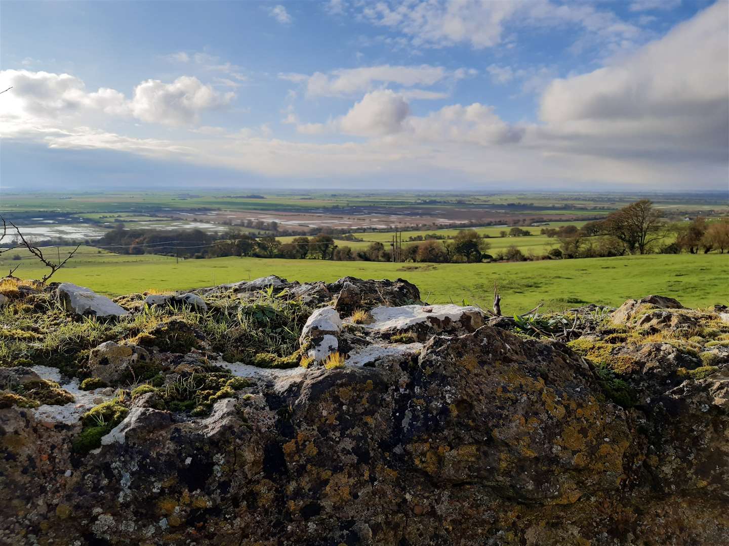 The extensive view across the Romney Marsh towards East Sussex (43414412)