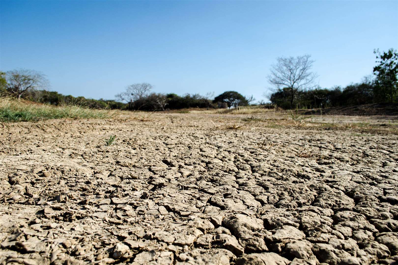 What is El Nino and what impact might it have?