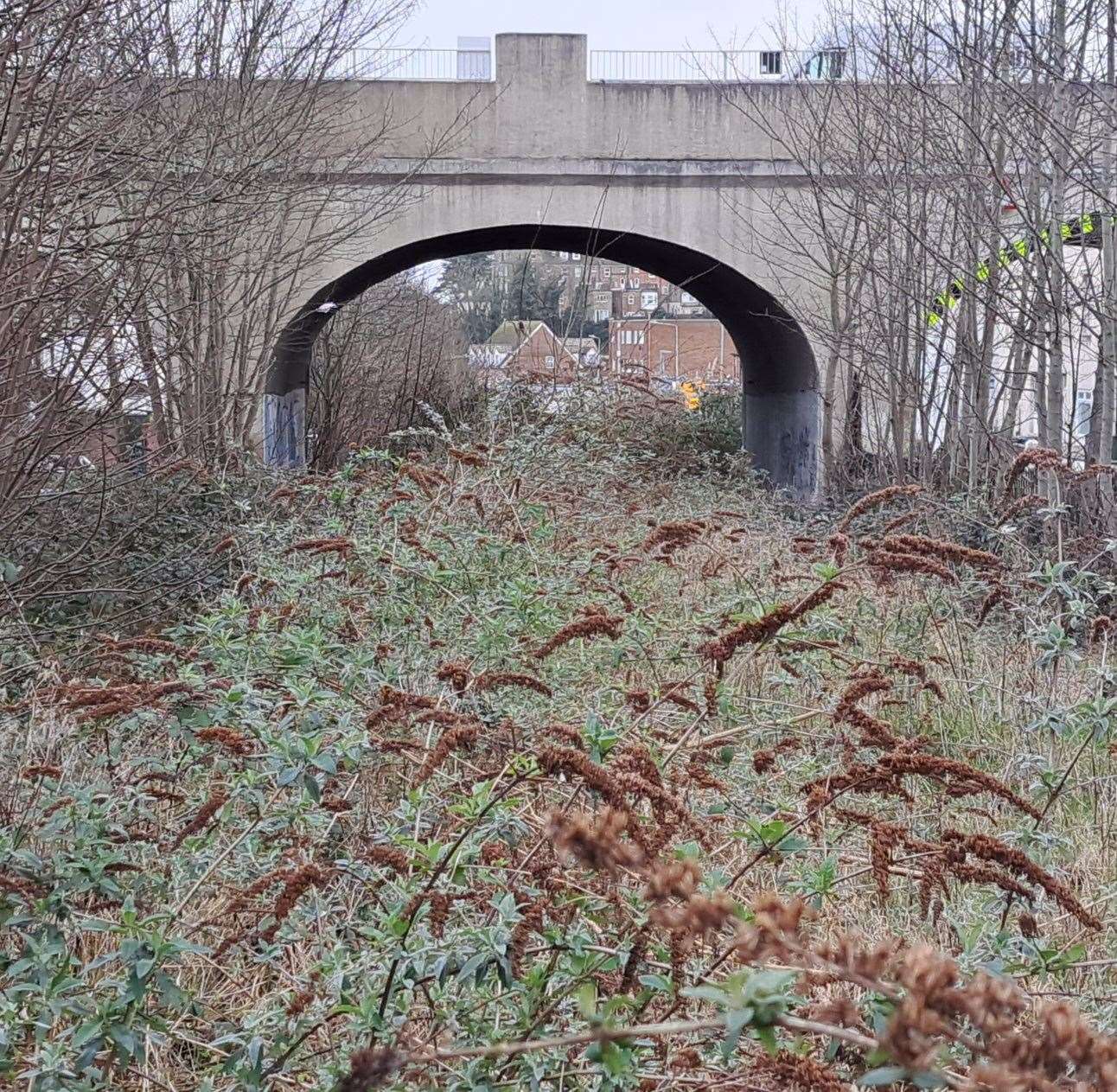 The former railway line for Folkestone harbour, part of which is now completely overgrown. Above the bridge arch traffic is now carried on Radnor Bridge Road