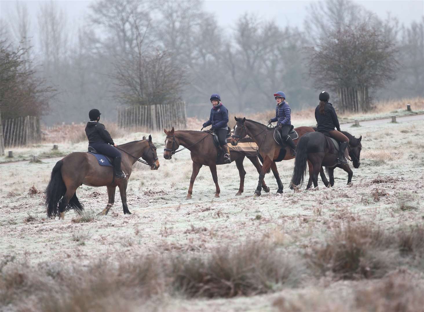 Riders in a frost-covered Richmond Park (Yui Mok/PA)