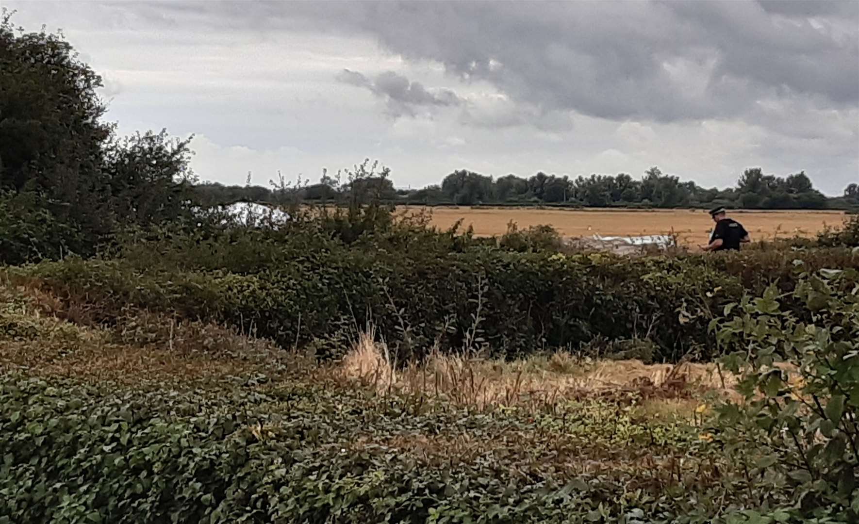 Police inspecting the site where the white plane crash landed