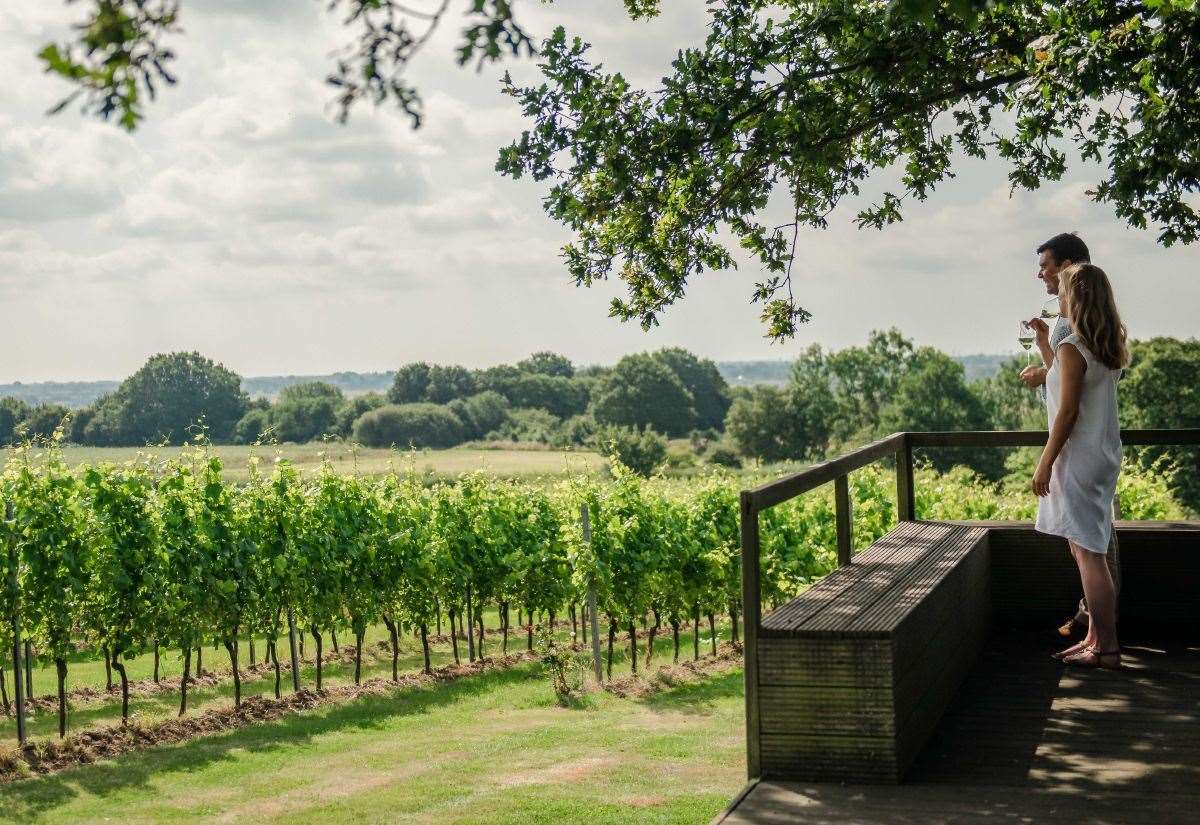 Kent vineyard named in world’s top 50