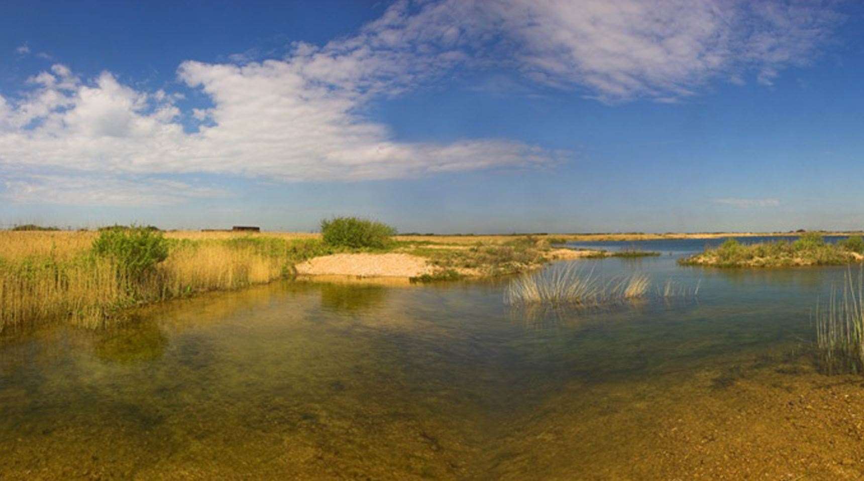 Dungeness Nature Reserve. Picture: Delphine Houlton at Maxim PR