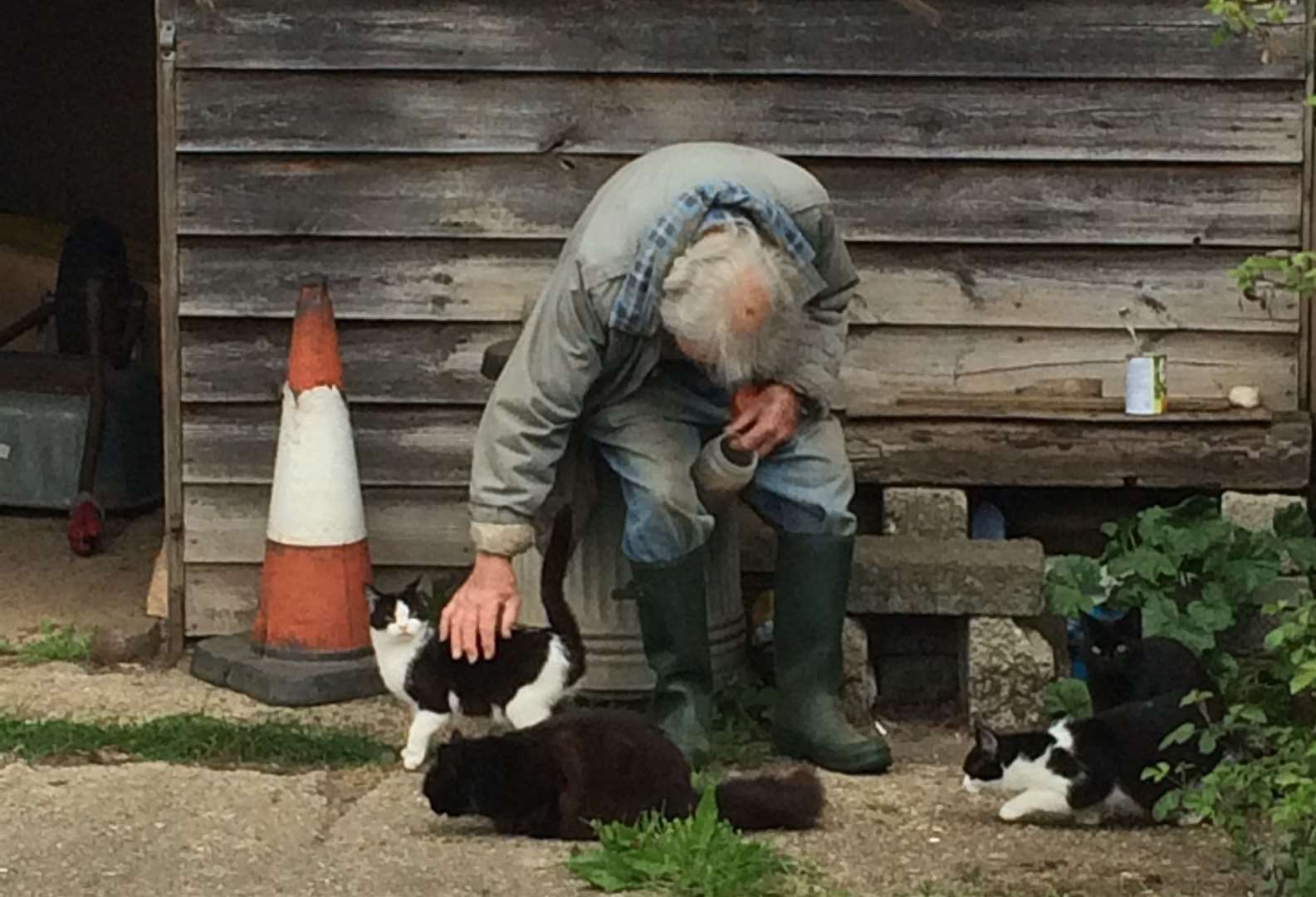 The owner with some of the 29 cats he looks after. (10443664)