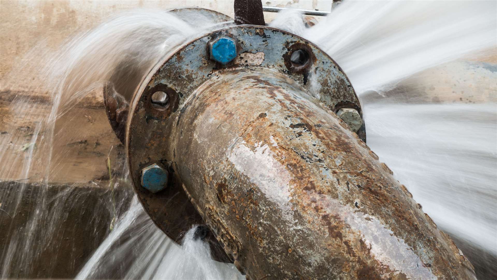 Trees are being removed so that a water mains pipe can be repaired. Stock image