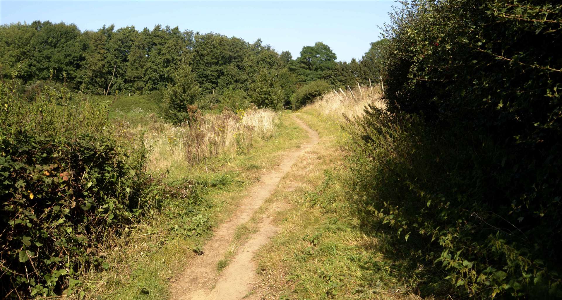 Five public rights of way cross the site